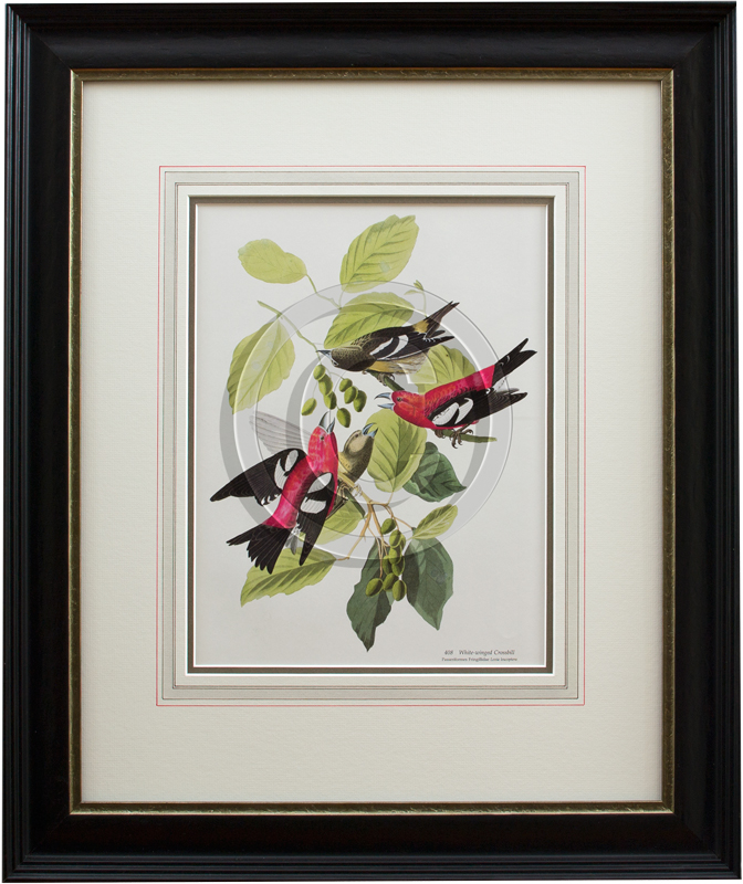 Image of Botanical Bird Print