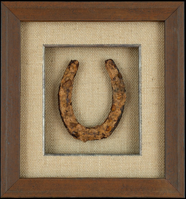 Image of Horseshoe in Picture Frame
