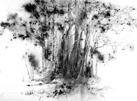 Graphite Drawing 
